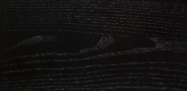 Ash Black Finish Sample